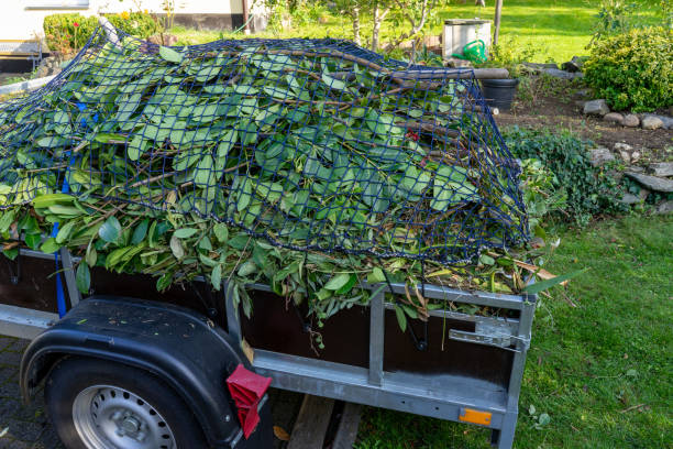 Best Yard Waste Removal  in Lake Cassidy, WA